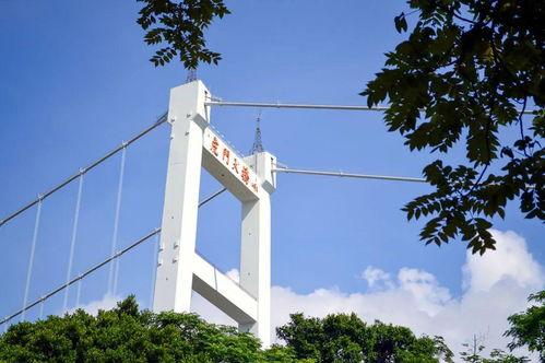 老虎门大桥爆料视频大全,揭秘工程背后的真相与争议